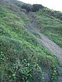 DSC05176.JPG