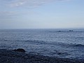 DSC05188.JPG