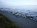 DSC05189.JPG