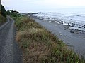 DSC05190.JPG