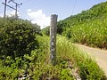 DSC06356.JPG