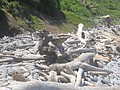 DSC06375.JPG