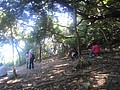 DSC06385.JPG