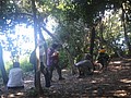 DSC06387.JPG
