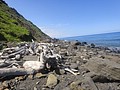 DSC06393.JPG