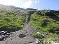 DSC06394.JPG