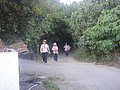 DSC06401.JPG