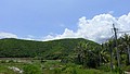 P1010977.JPG