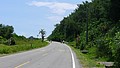P1010991.JPG