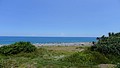 P1010998.JPG