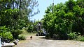 P1020003.JPG