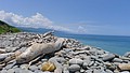 P1020005.JPG