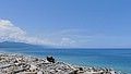 P1020009.JPG