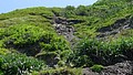 P1020021.JPG
