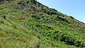 P1020027.JPG