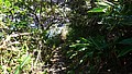 P1020028.JPG