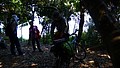 P1020030.JPG