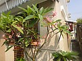 DSC06498.JPG