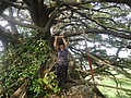 DSC06513.JPG
