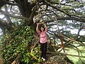 DSC06514.JPG