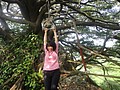 DSC06515.JPG