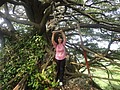 DSC06516.JPG