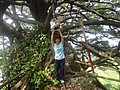 DSC06517.JPG