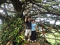DSC06522.JPG
