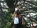 DSC06524-1.JPG
