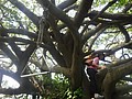 DSC06527.JPG