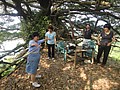DSC06539.JPG