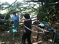 DSC06546-1.JPG
