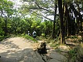 DSC06547.JPG