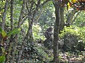DSC06549.JPG