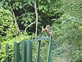 DSC06571.JPG