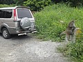 DSC06573.JPG