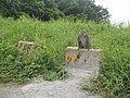 DSC06576.JPG