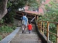 IMG_8847.JPG