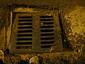 DSC06596.JPG