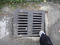 DSC06600.JPG