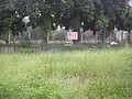 DSC06601.JPG