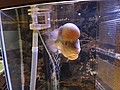 DSC00117.JPG