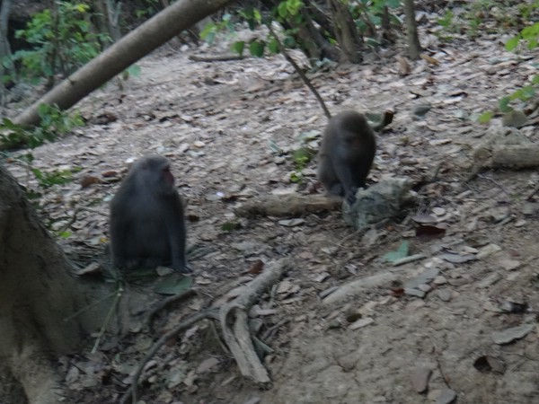 DSC01289.JPG