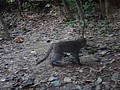DSC00167.JPG