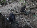 DSC00168.JPG