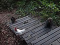 DSC00169.JPG