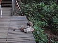 DSC00170.JPG