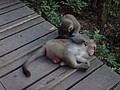 DSC00171.JPG