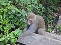DSC00173.JPG