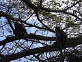 DSC00181.JPG
